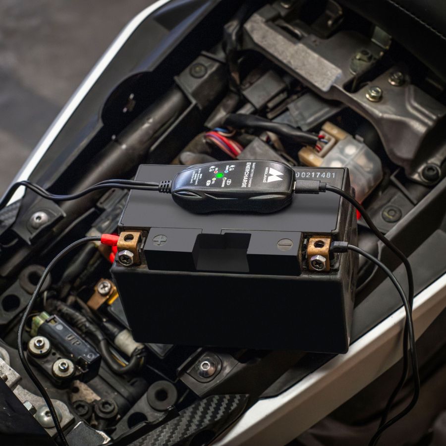 Enercharge cargador de batería de moto