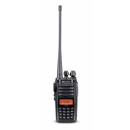 CT310