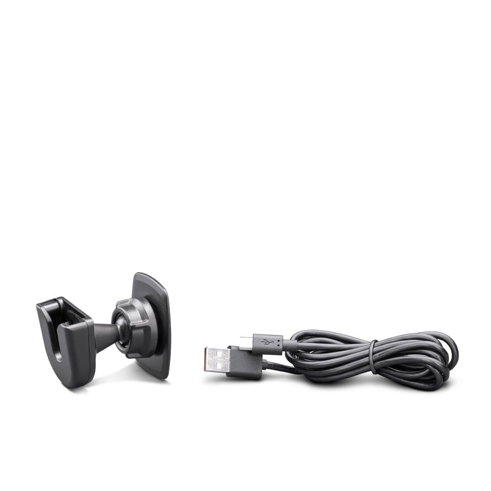 Dual Mike Wireless