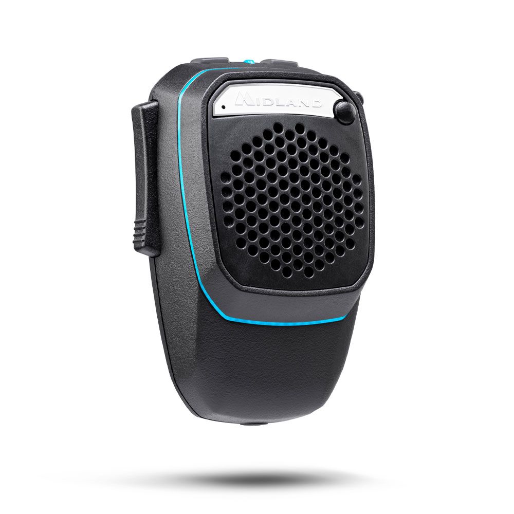 Dual Mike Wireless