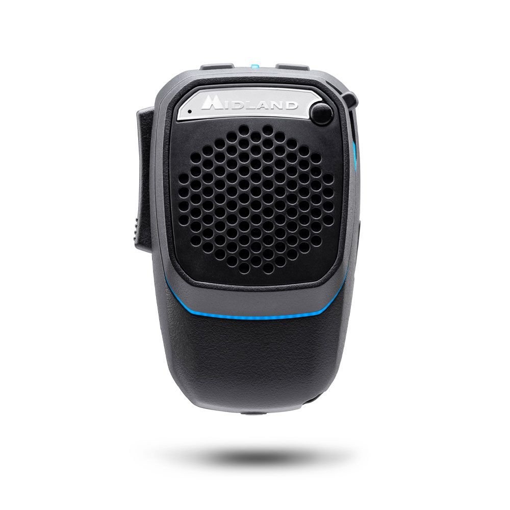 Dual Mike Wireless